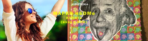 спайс Баксан