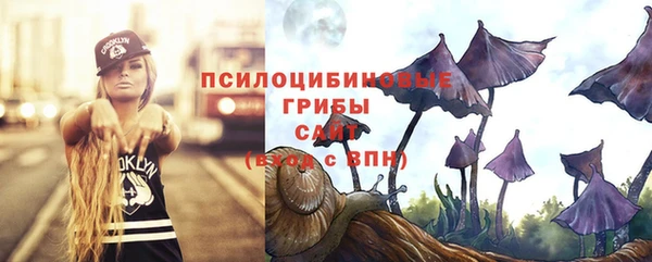 винт Беломорск